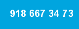 918 667 34 73 918 667 34 73